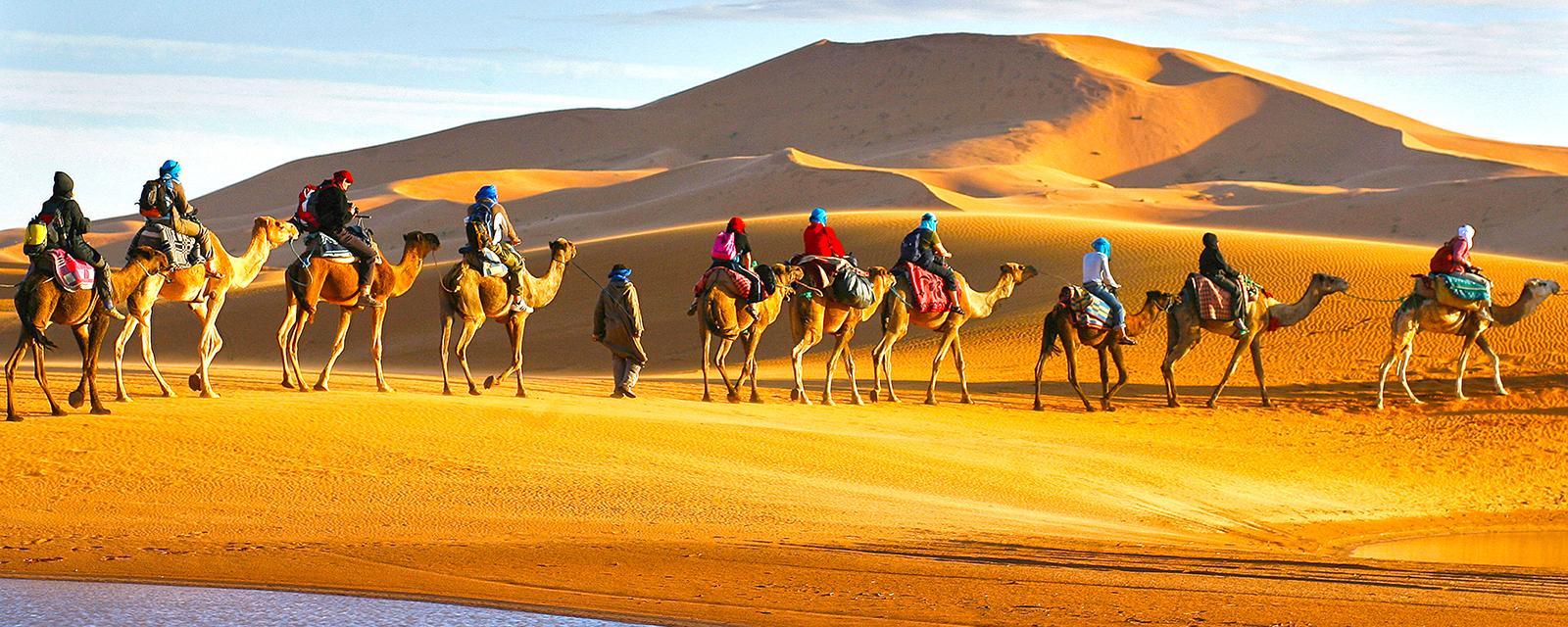 Colours of Morocco - Oct 24 - Nov 6 2025 - background banner