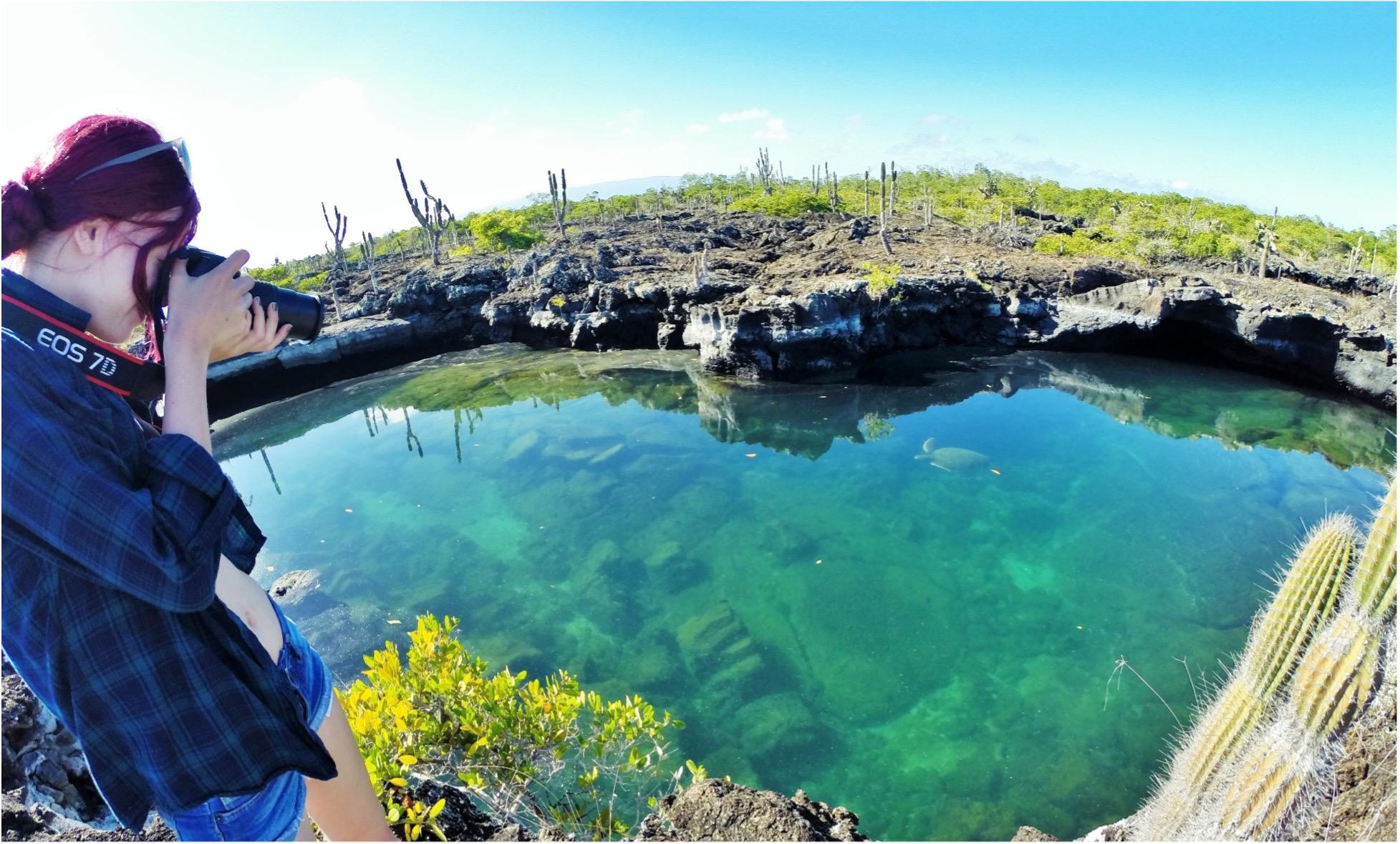 Galapagos & Amazon Quest - background banner