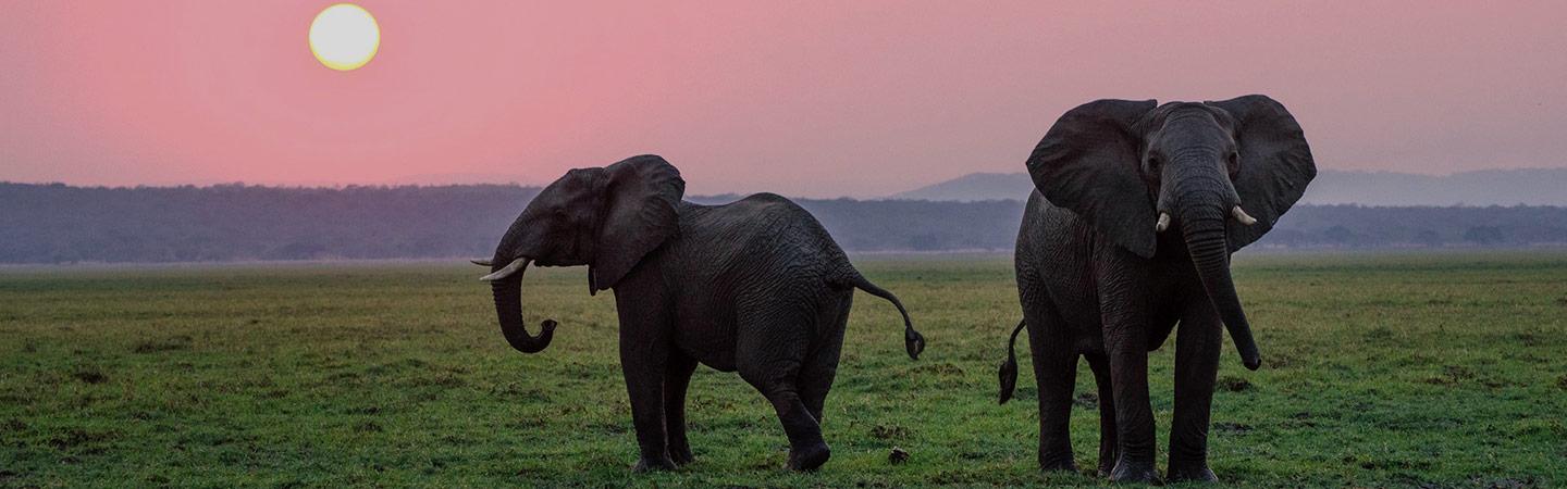 Exploring Southern Africa -- Windhoek to Victoria Falls - background banner