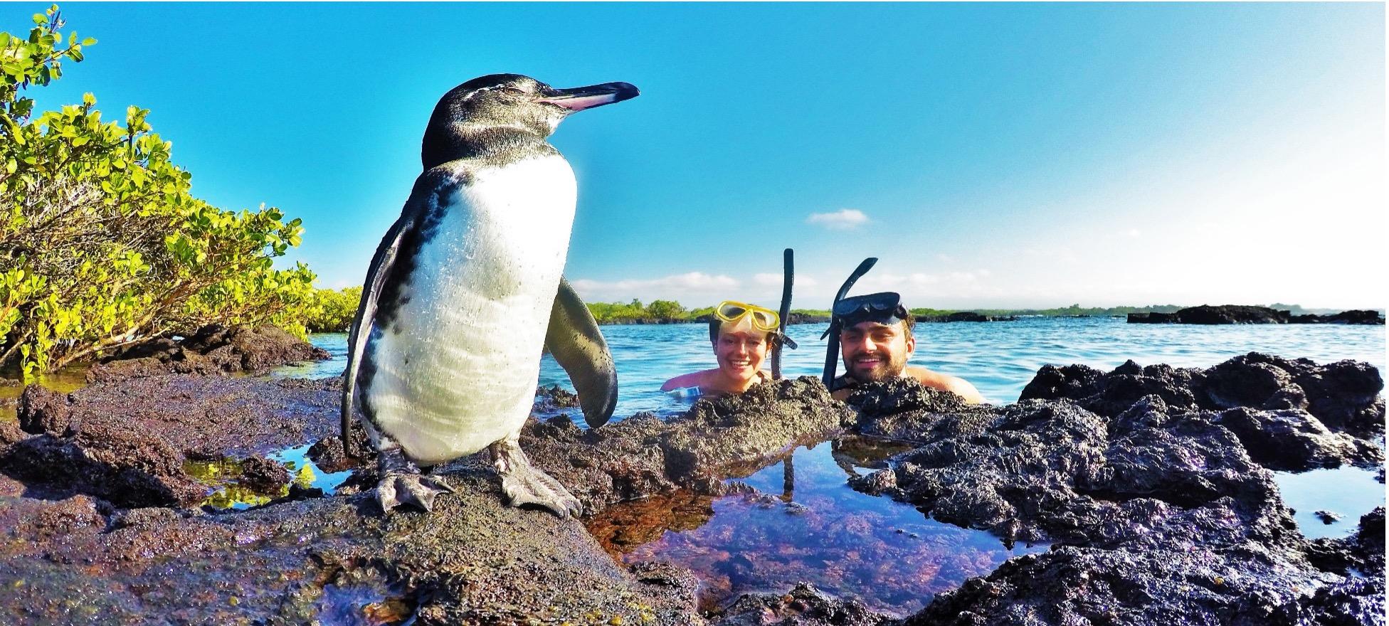 The Best of Ecuador & Galapagos - background banner